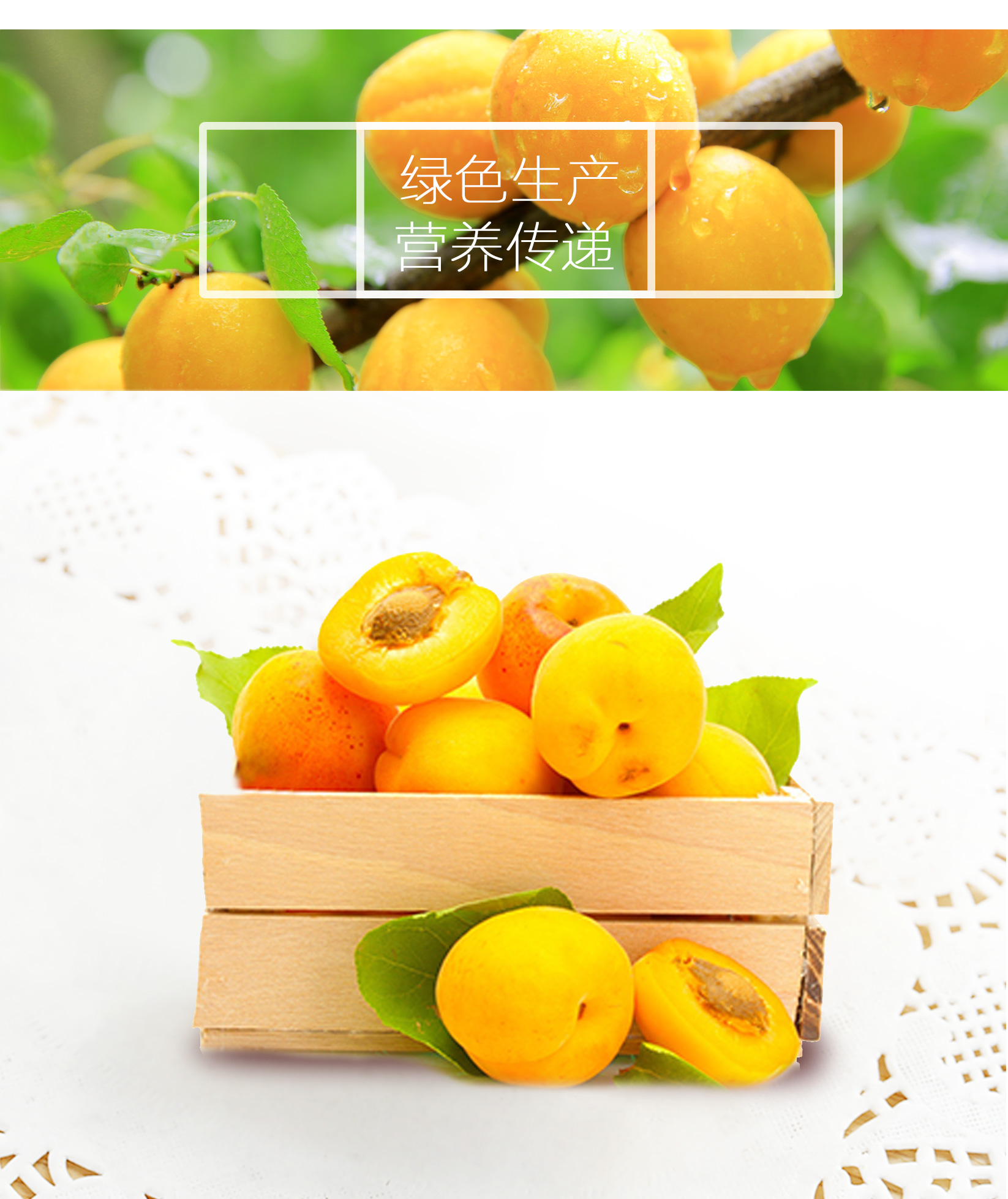 http://img.lyilife.com/attachment/image/0/2018/03/oW24M4EZ11RjmwV2fDm91kZFjR2Vu5.jpg