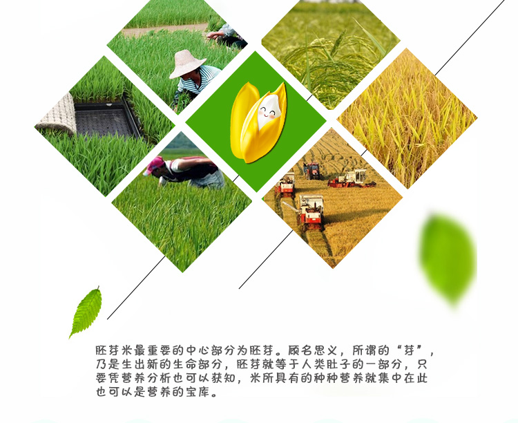 http://img.lyilife.com/attachment/image/0/2018/03/owhmB9ZI6i8971173wj6w3j9BWahBL.jpg
